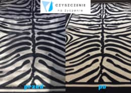 Pranie dywanów na wskroś